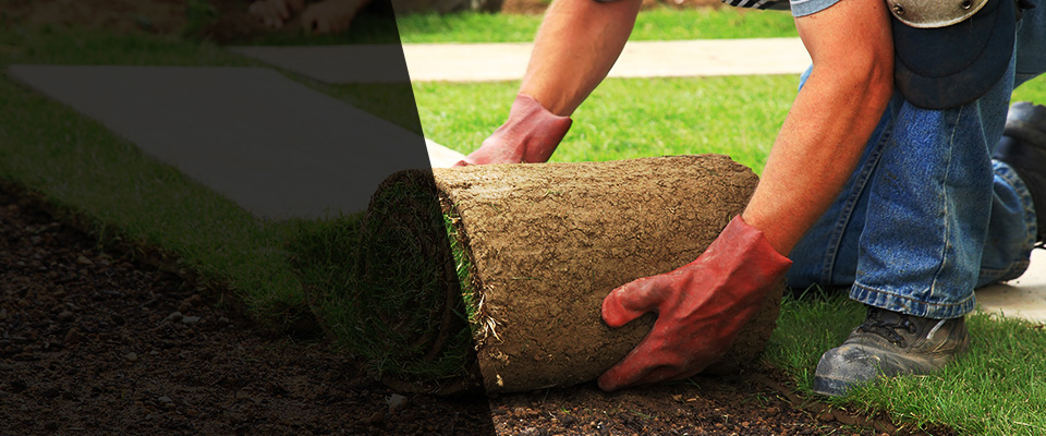 Eldorado Landscapers